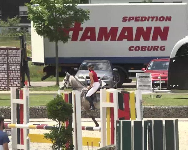 Reitturnier Ingolstadt-Hagau 2016