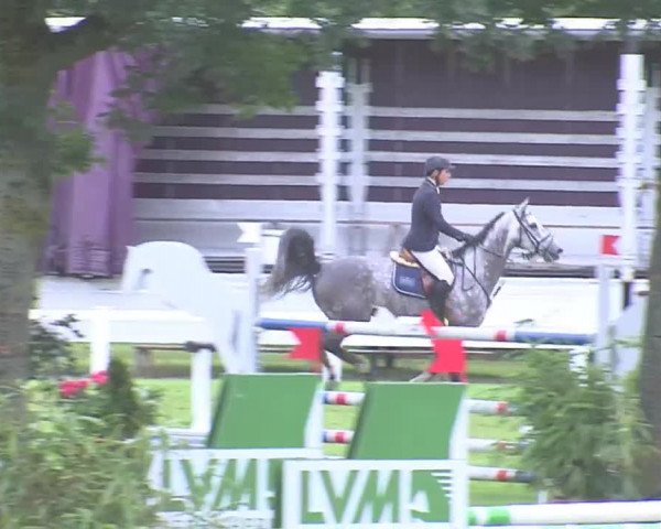 Reitturnier Marne 2016