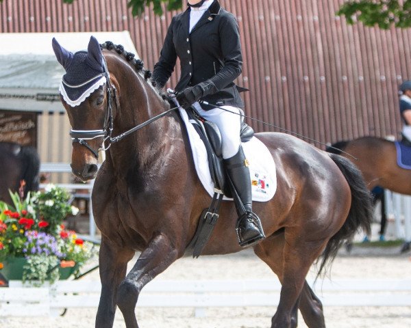 Dressurpferd Vita IV (KWPN (Niederländisches Warmblut), 2002, von Obelisk)