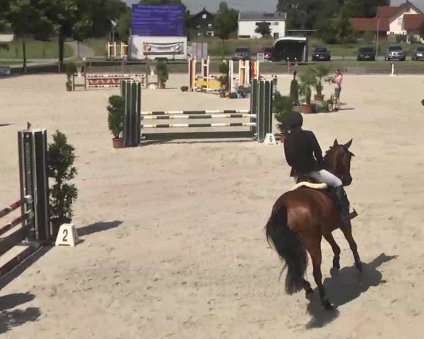 Reitturnier Ingolstadt-Hagau 2016