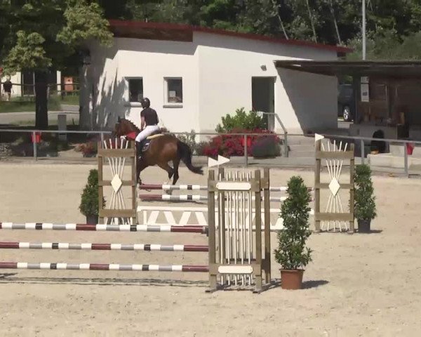 Reitturnier Ingolstadt-Hagau 2016