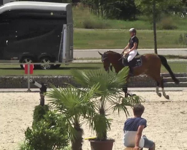 Reitturnier Ingolstadt-Hagau 2016