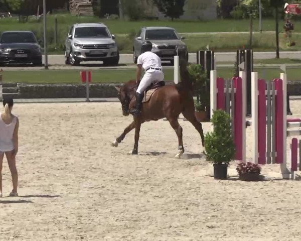 Reitturnier Ingolstadt-Hagau 2016