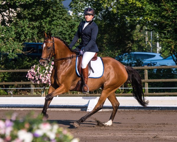 broodmare Caro Jetta xx (Thoroughbred, 2011, from Authorized xx)