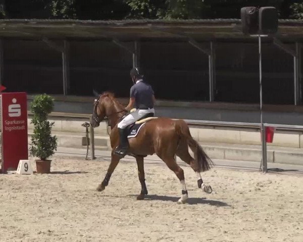 Reitturnier Ingolstadt-Hagau 2016