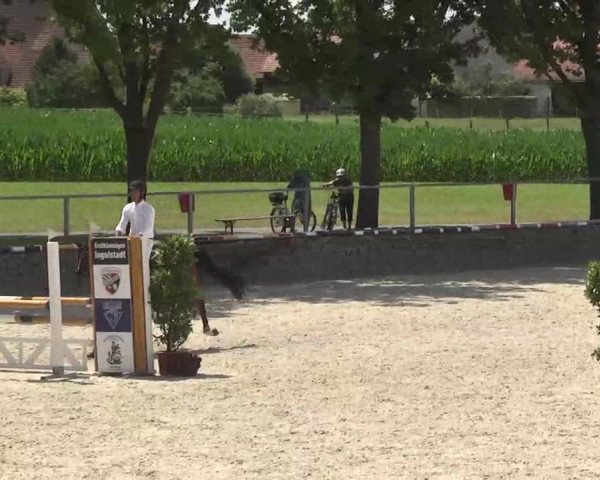 Reitturnier Ingolstadt-Hagau 2016