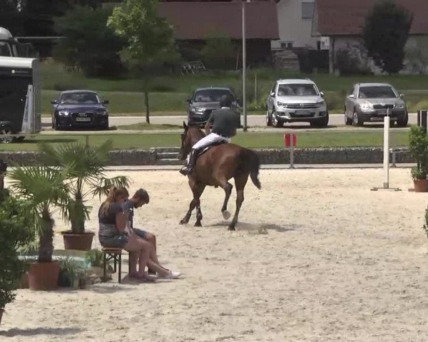 Reitturnier Ingolstadt-Hagau 2016