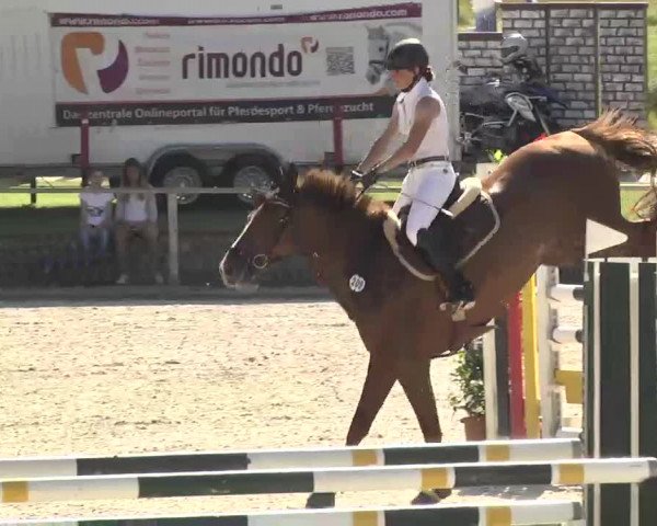 Reitturnier Ingolstadt-Hagau 2016