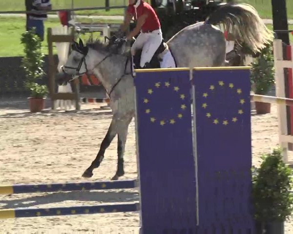 Reitturnier Ingolstadt-Hagau 2016
