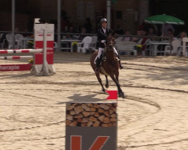 Reitturnier Letmathe 2016