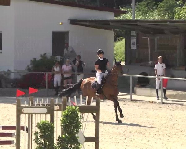 Reitturnier Ingolstadt-Hagau 2016