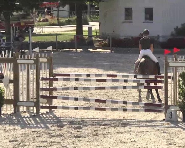 Reitturnier Ingolstadt-Hagau 2016