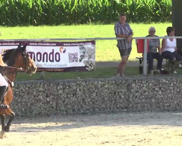 Reitturnier Ingolstadt-Hagau 2016
