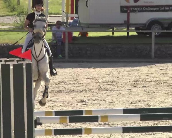 Reitturnier Ingolstadt-Hagau 2016