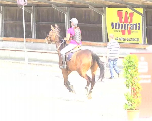 Reitturnier Ingolstadt-Hagau 2016
