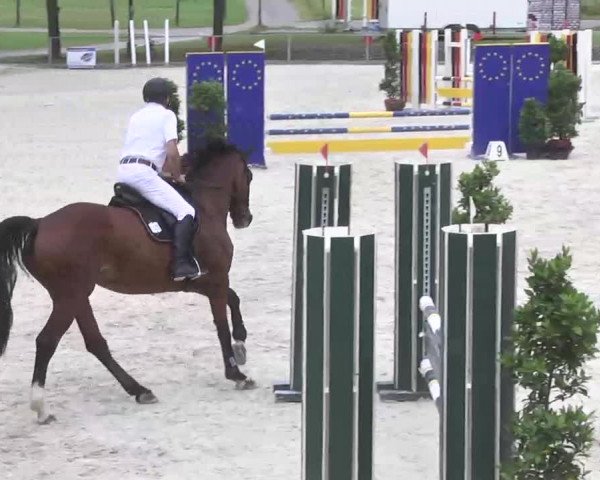 Reitturnier Ingolstadt-Hagau 2016