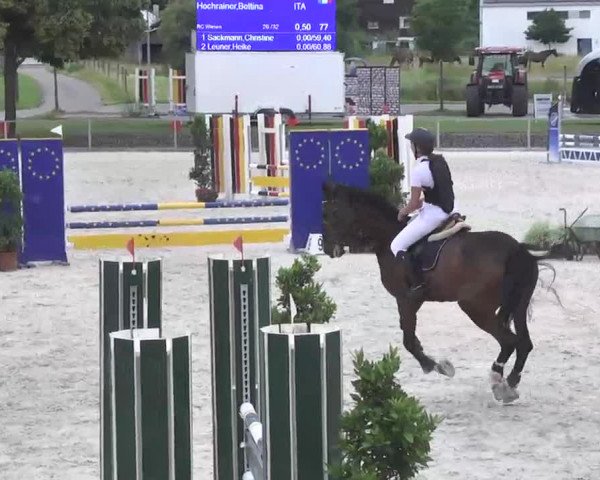 Reitturnier Ingolstadt-Hagau 2016