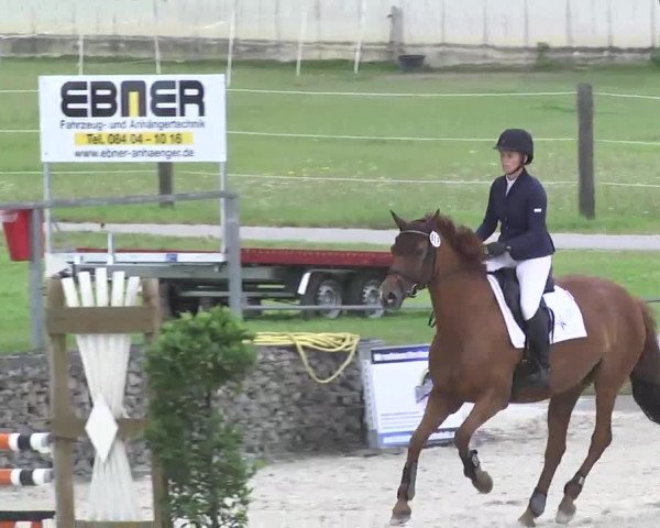Reitturnier Ingolstadt-Hagau 2016