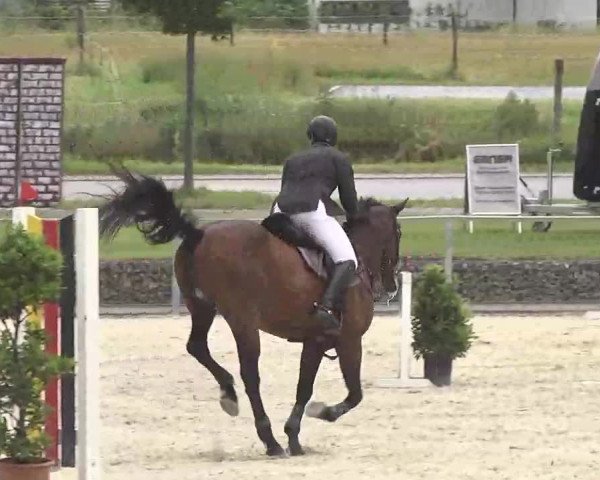 Reitturnier Ingolstadt-Hagau 2016