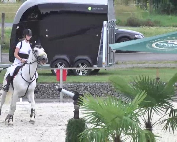 Reitturnier Ingolstadt-Hagau 2016