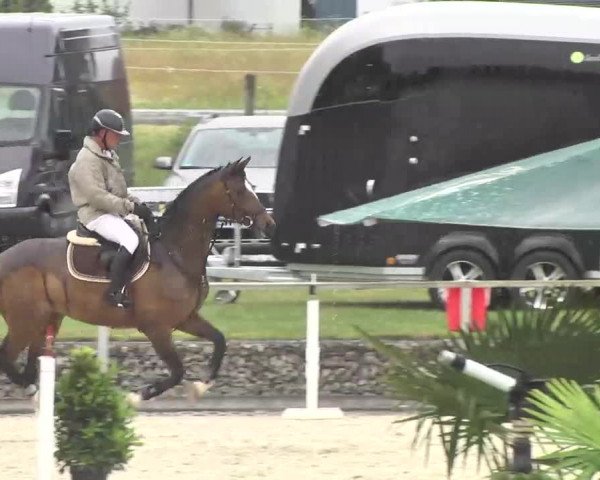Reitturnier Ingolstadt-Hagau 2016