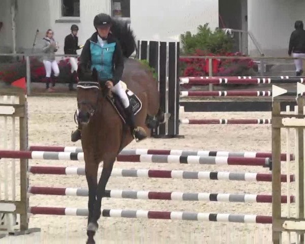 Reitturnier Ingolstadt-Hagau 2016