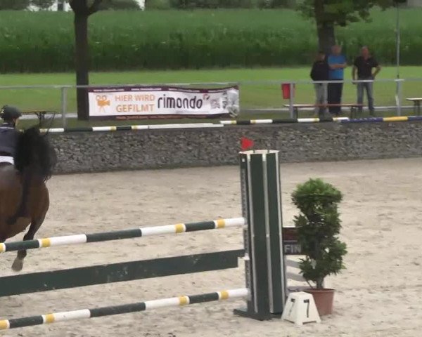 Reitturnier Ingolstadt-Hagau 2016