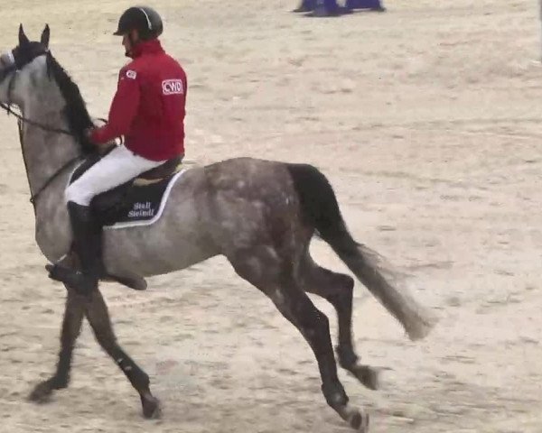 Reitturnier Ingolstadt-Hagau 2016