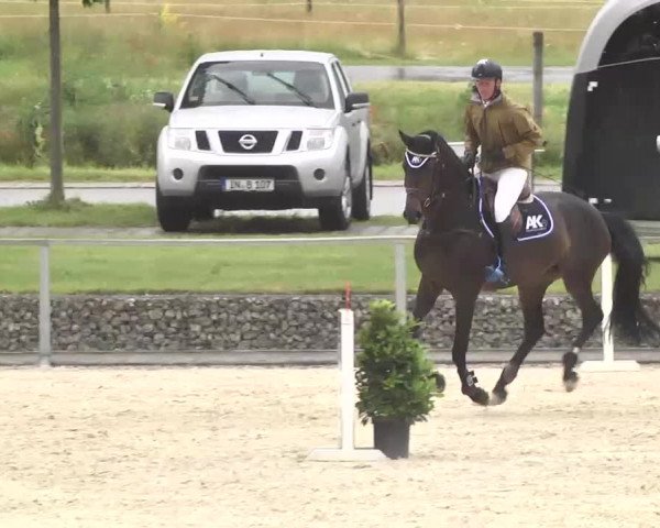 Reitturnier Ingolstadt-Hagau 2016