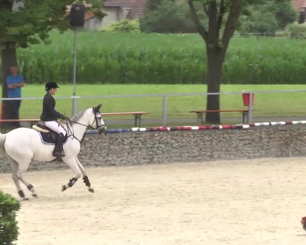 Reitturnier Ingolstadt-Hagau 2016