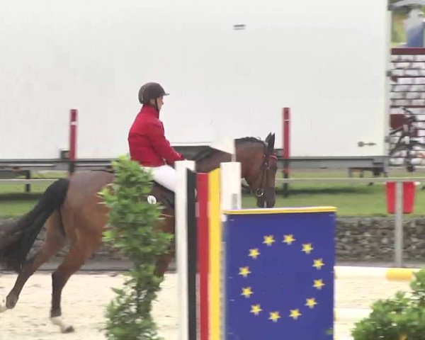 Reitturnier Ingolstadt-Hagau 2016