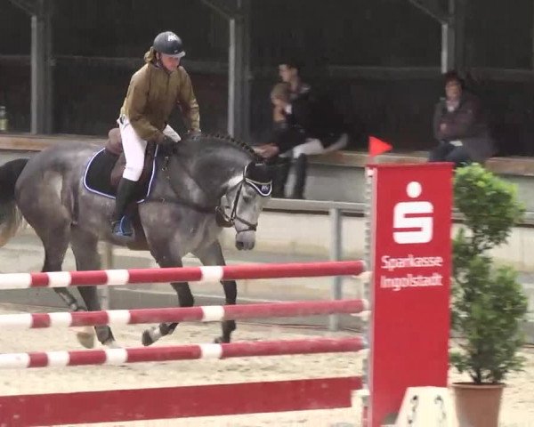 Reitturnier Ingolstadt-Hagau 2016