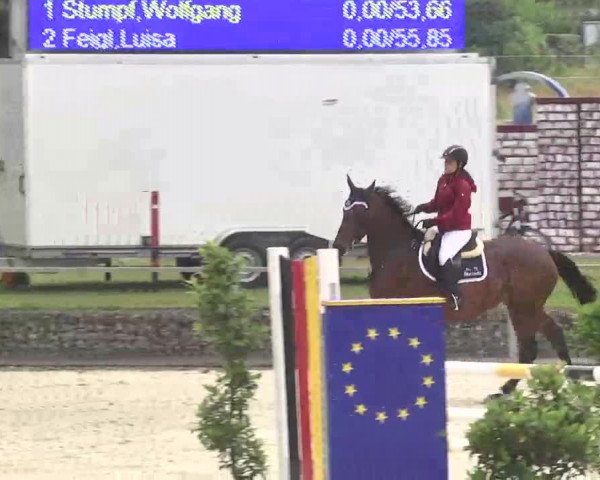 Reitturnier Ingolstadt-Hagau 2016
