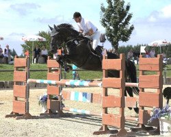 jumper Enjoy 30 (Hanoverian, 1996, from Espri)