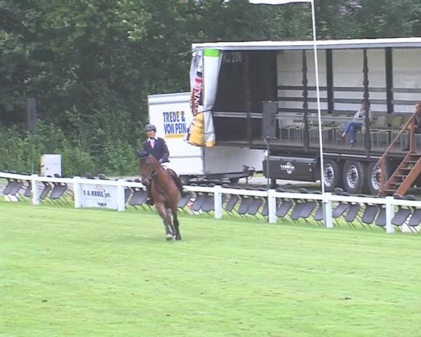 Reitturnier Marne 2016