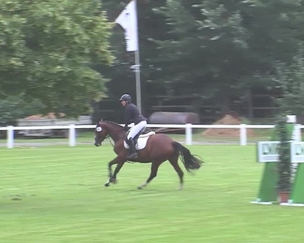 Reitturnier Marne 2016