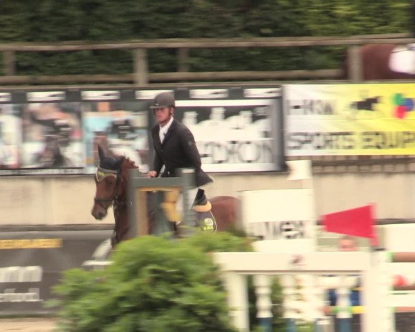Reitturnier Melle-Ostenfelde 2016