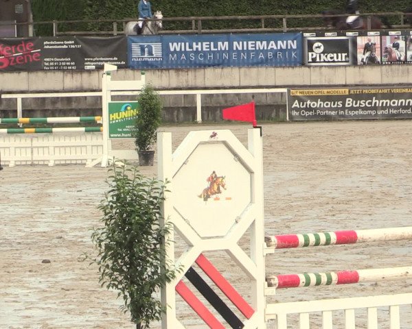 Reitturnier Melle-Ostenfelde 2016