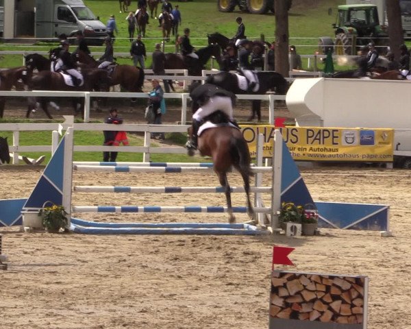 Reitturnier Letmathe 2016
