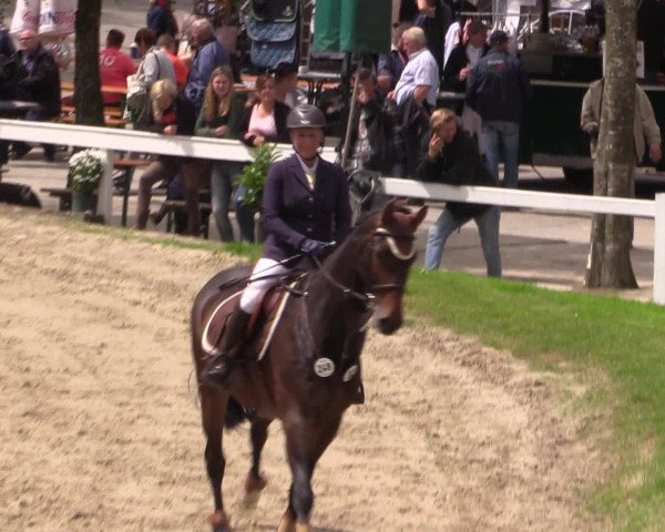 Reitturnier Letmathe 2016