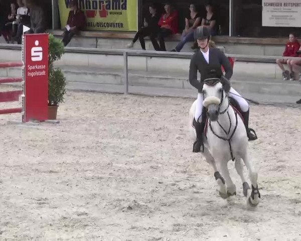 Reitturnier Ingolstadt-Hagau 2016