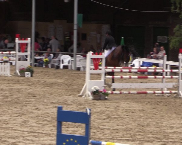 Reitturnier Letmathe 2016