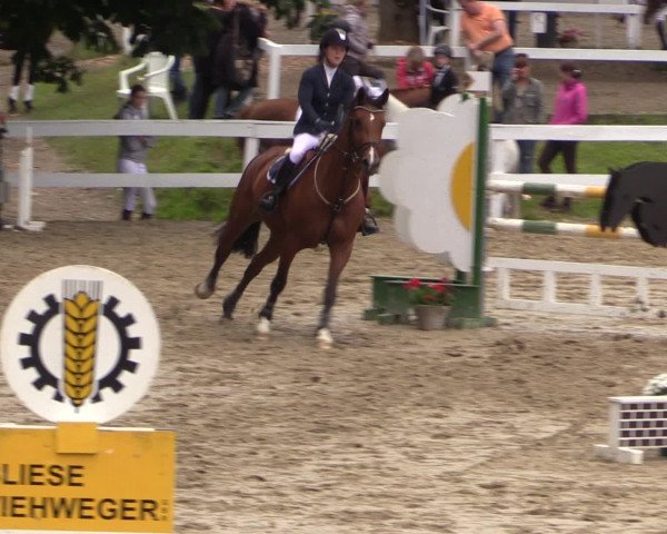 Reitturnier Letmathe 2016