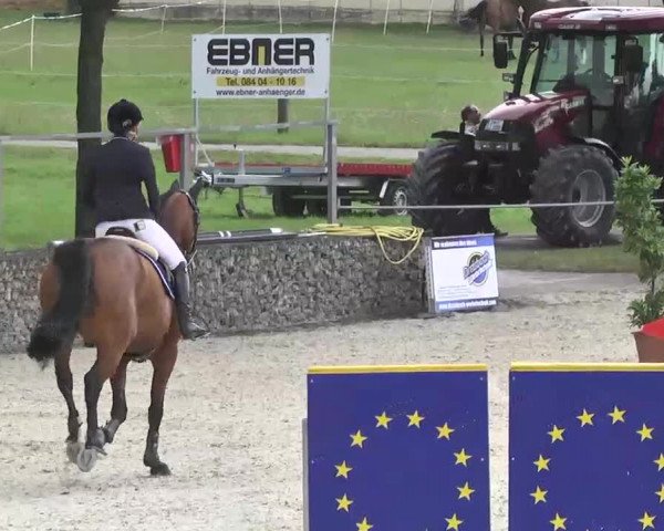 Reitturnier Ingolstadt-Hagau 2016