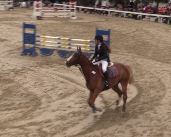 Reitturnier Letmathe 2016