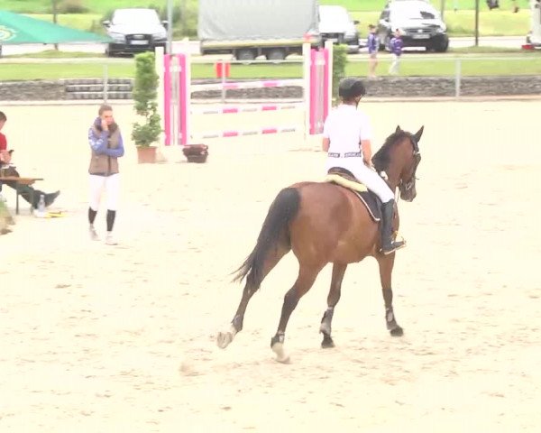 Reitturnier Ingolstadt-Hagau 2016