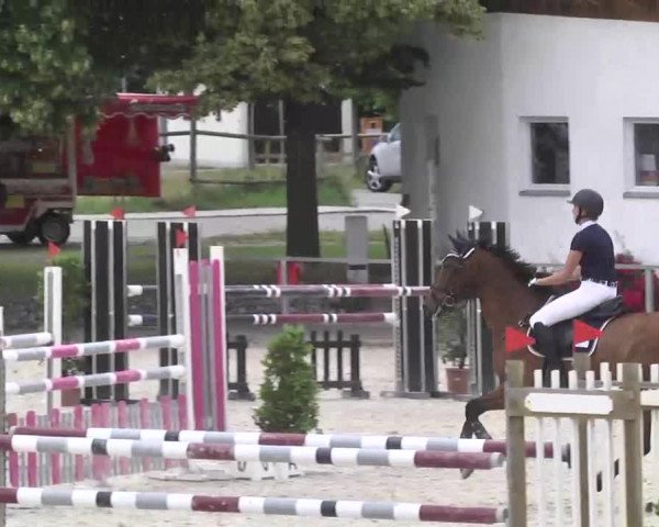 Reitturnier Ingolstadt-Hagau 2016