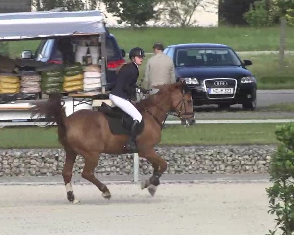 Reitturnier Ingolstadt-Hagau 2016