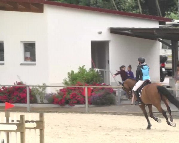 Reitturnier Ingolstadt-Hagau 2016