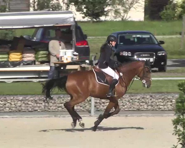 Reitturnier Ingolstadt-Hagau 2016